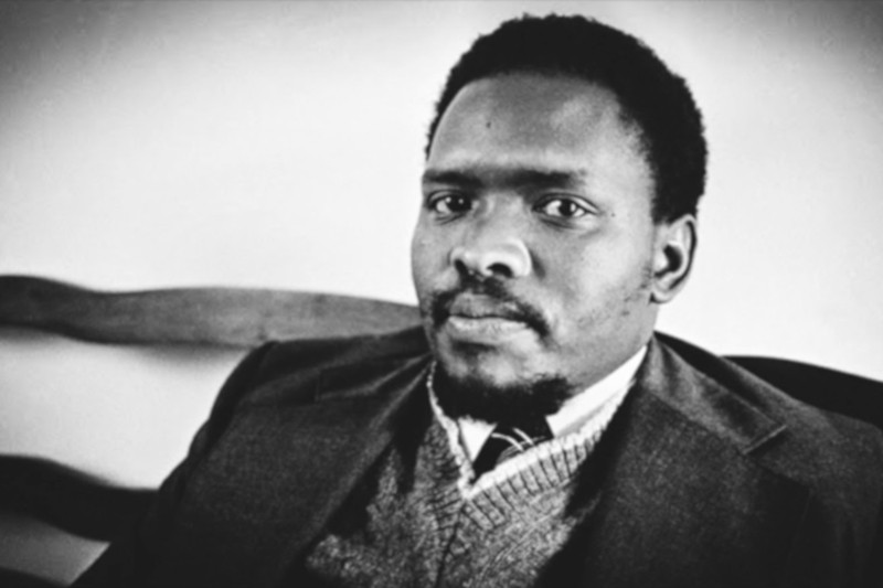 Conscientization 101 - Dr. Julian Kunnie Steve Biko Tribute